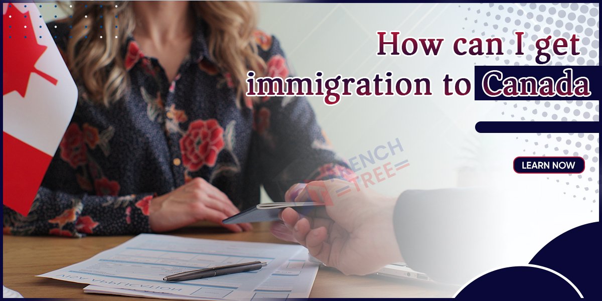 How can I get immigration to Canada - Steps and Process