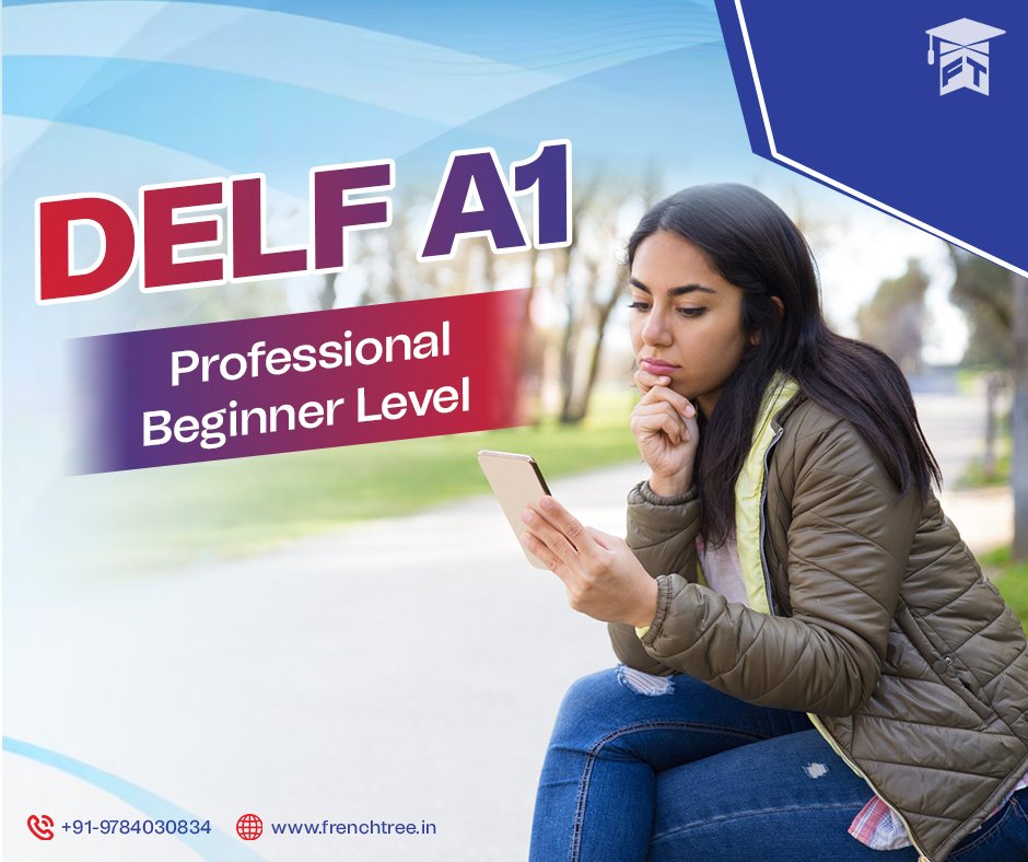 Delf A1 - Professional Beginner Level