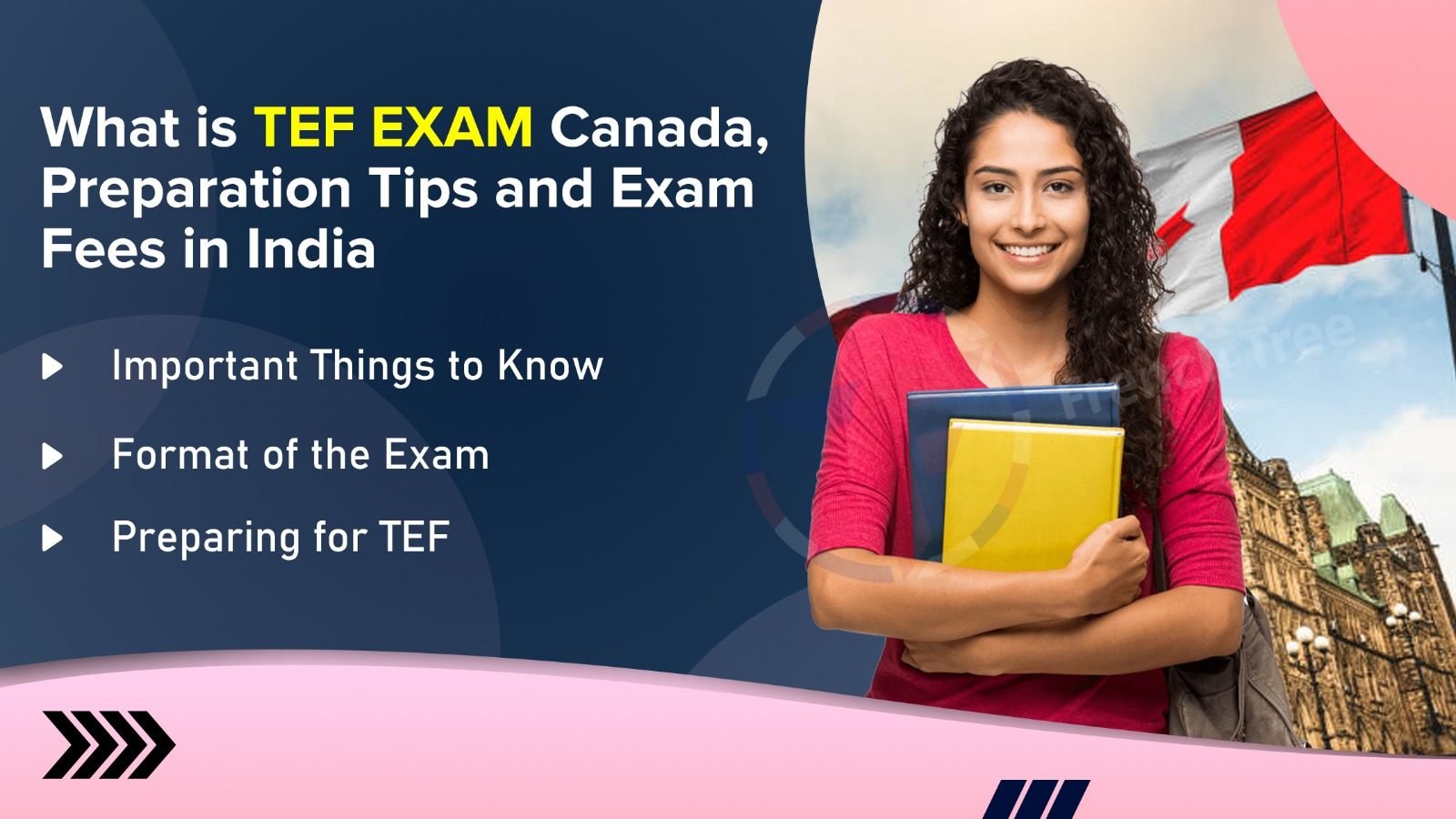 What is TEF Exam Canada Preparation Tips and Exam Fees in India